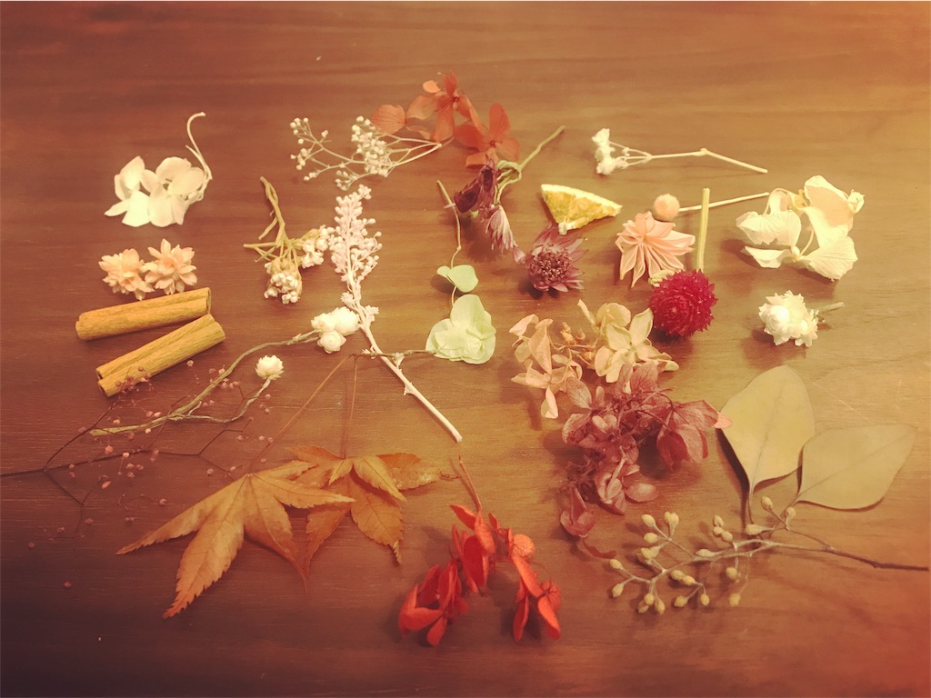 f:id:Riisflower:20171010030047j:image