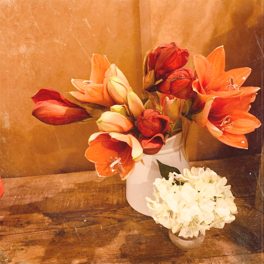 f:id:Riisflower:20200123003442j:image