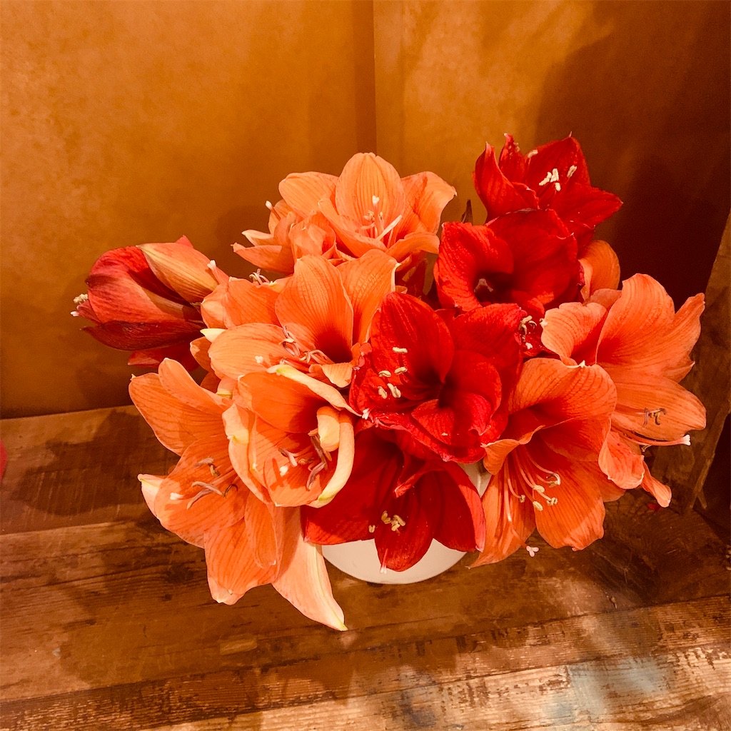 f:id:Riisflower:20200128221739j:image