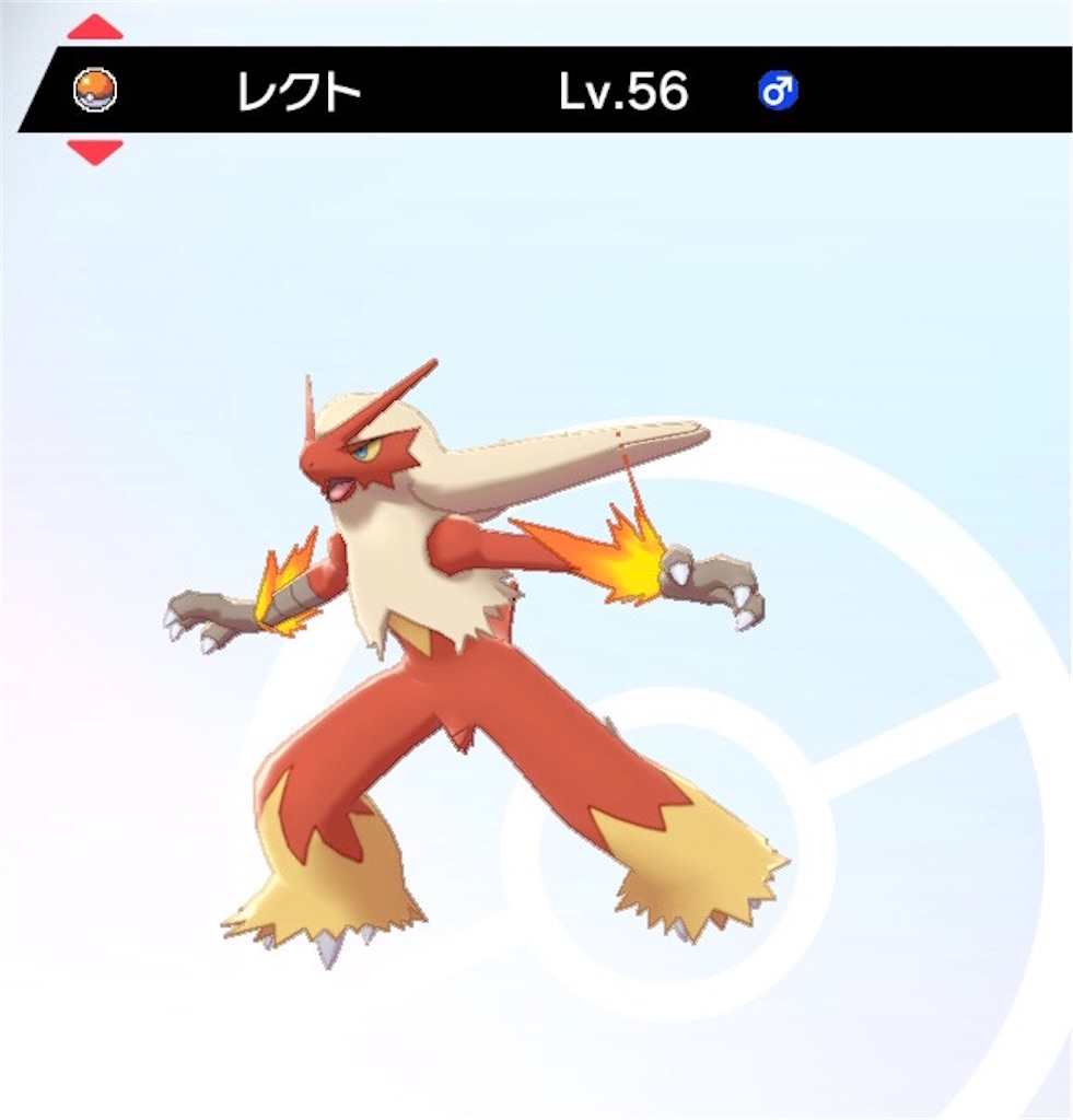 f:id:Riki_0330:20210301132720j:image f:id:Riki_0330:20210301132720j:image