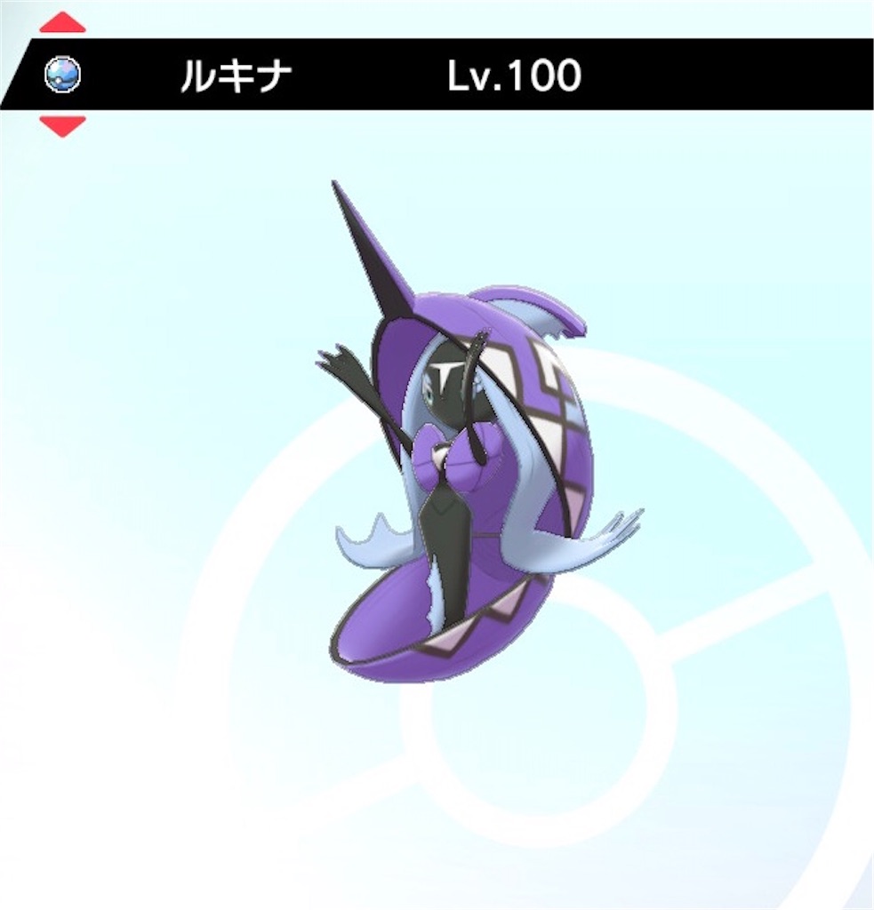 f:id:Riki_0330:20210301132738j:image f:id:Riki_0330:20210301132738j:image