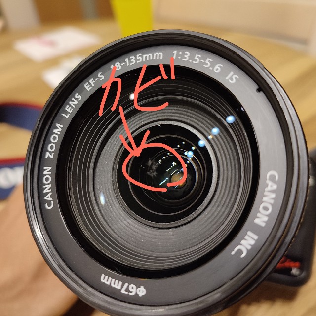 初級編】カビ取り方法│Canon EF-S18-135mm 1:3.5-5.6 IS - OKUBUNGO