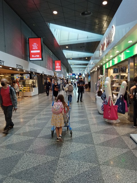 f:id:Rikueesti:20211001040021j:image