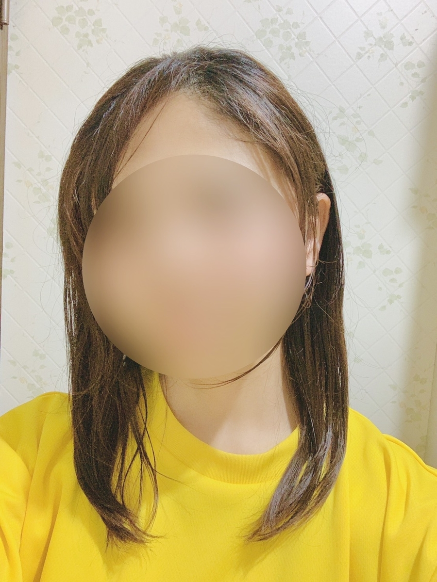 f:id:Rilason:20210823234755j:plain