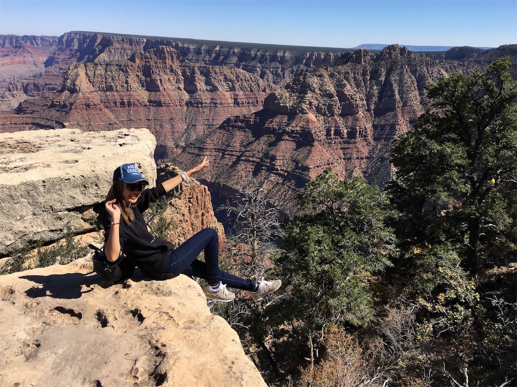 f:id:Rimi2277:20190214160715j:plain f:id:Rimi2277:20190214160715j:plain