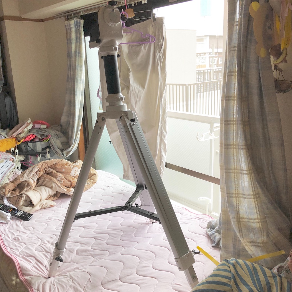 f:id:Rin0724:20190815225954j:image f:id:Rin0724:20190815225954j:image