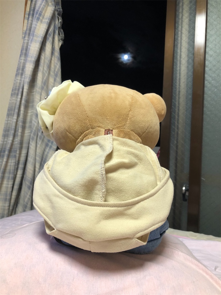 f:id:Rin0724:20200902220459j:image
