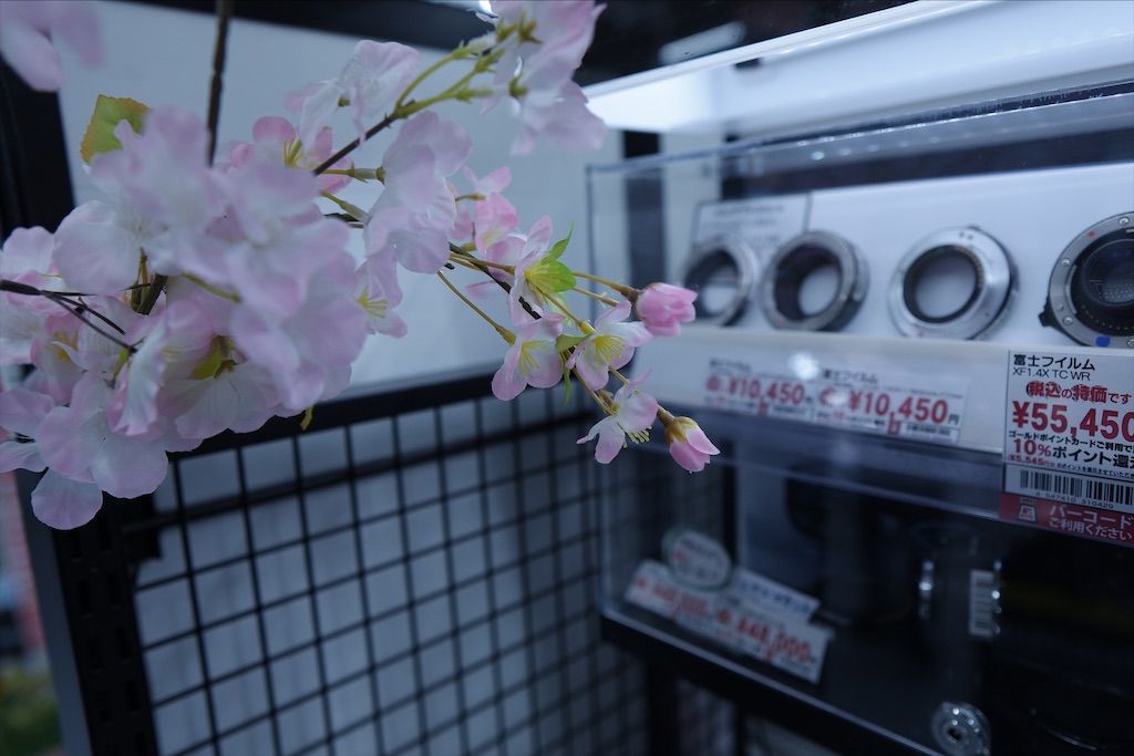 f:id:Rin0724:20220319192539j:image f:id:Rin0724:20220319192539j:image