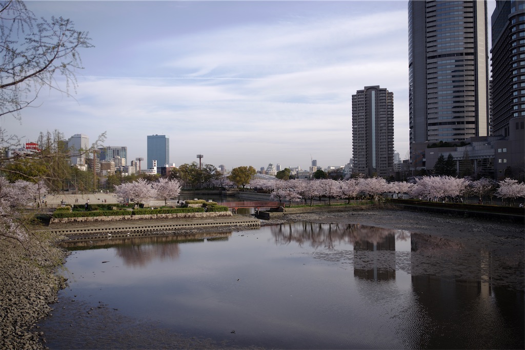 f:id:Rin0724:20230612013628j:image f:id:Rin0724:20230612013628j:image