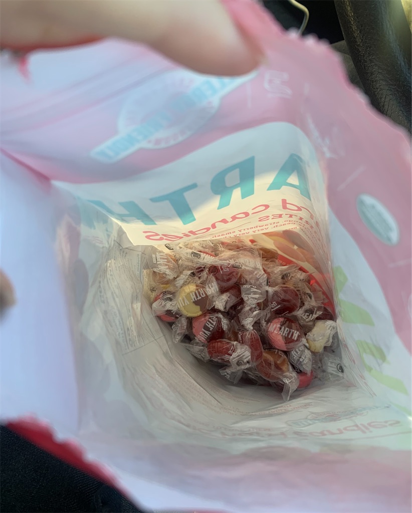 f:id:RinS_note:20210204094118j:plain