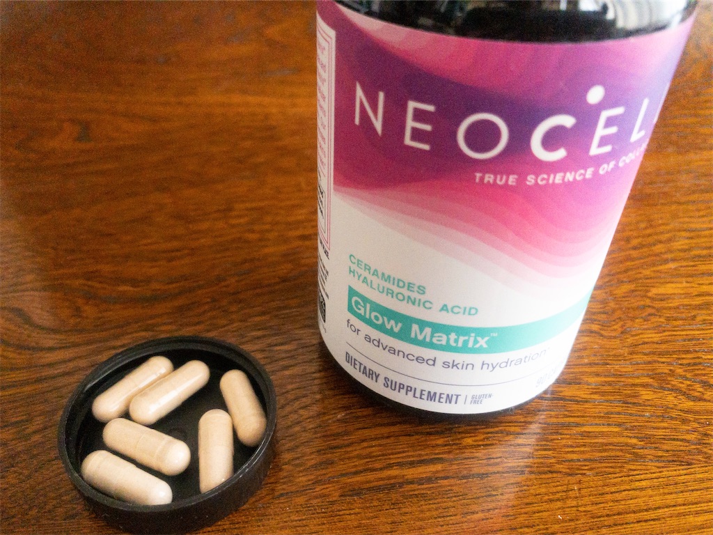 f:id:RinS_note:20210204094126j:plain