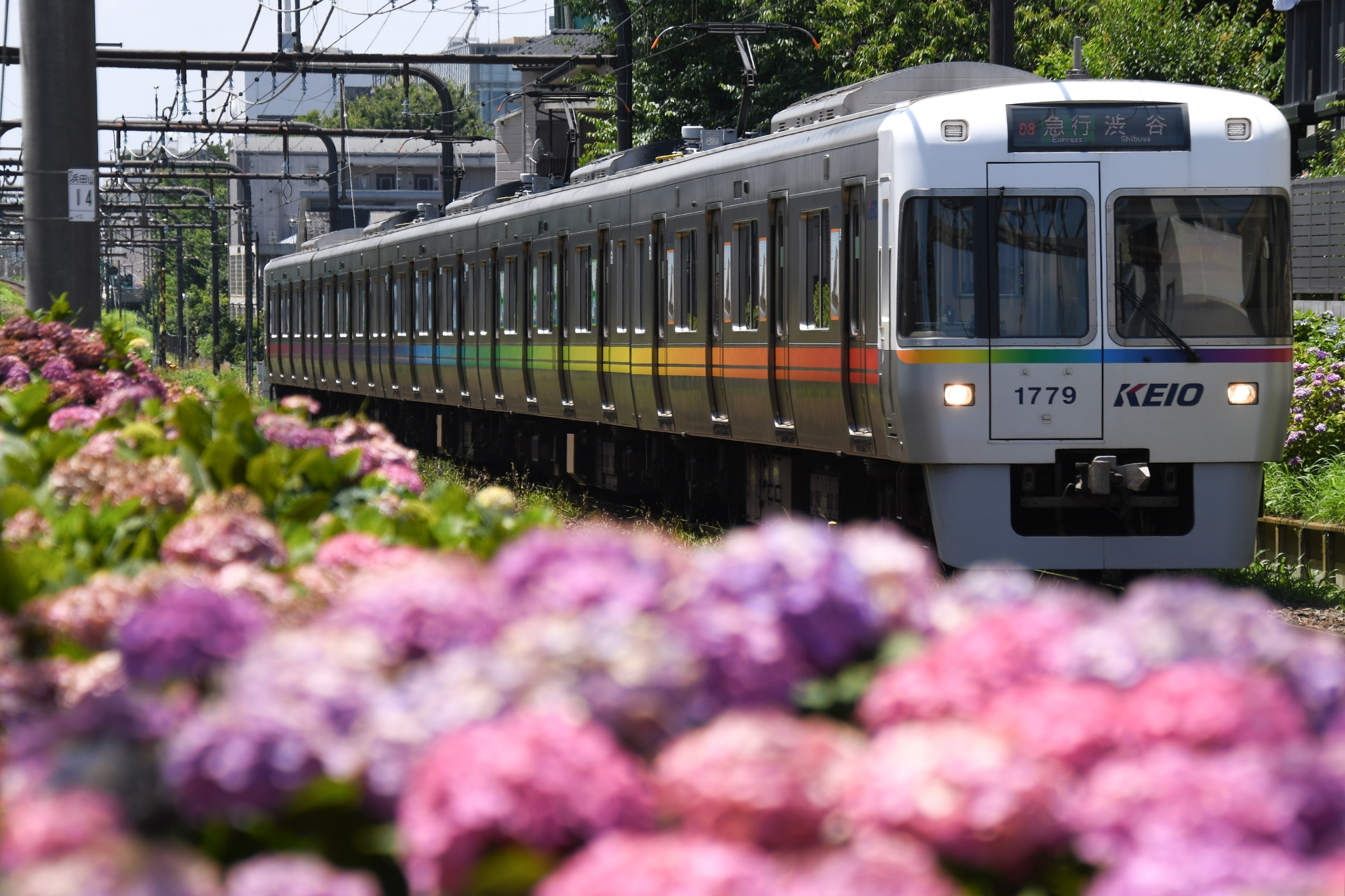 f:id:Rinkuro1027:20190820182212j:plain f:id:Rinkuro1027:20190820182212j:plain