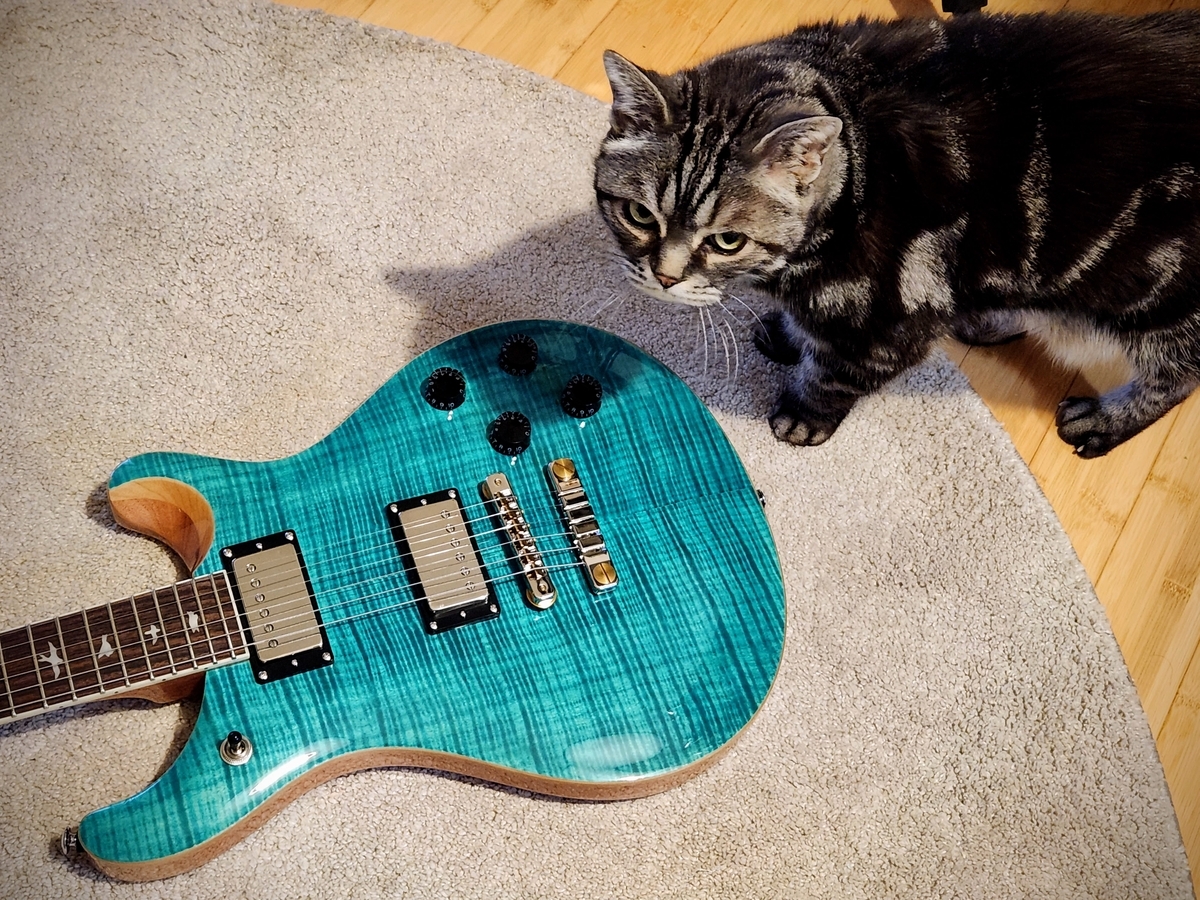 トラ模様同士 PRS SE McCarty594 2023 - ゼロ からの DTM 日記
