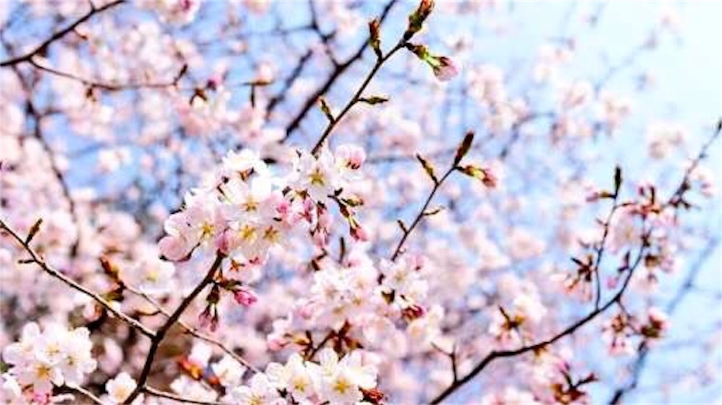 f:id:Rio_l_tragic:20180306025832j:image f:id:Rio_l_tragic:20180306025832j:image