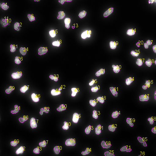f:id:Rion778:20091210115519p:image
