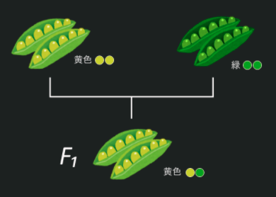 f:id:Rion778:20200226220855p:plain