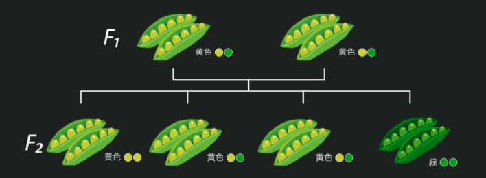 f:id:Rion778:20200226221130p:plain