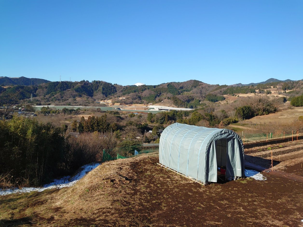 f:id:RitsGreen:20220123064440p:plain