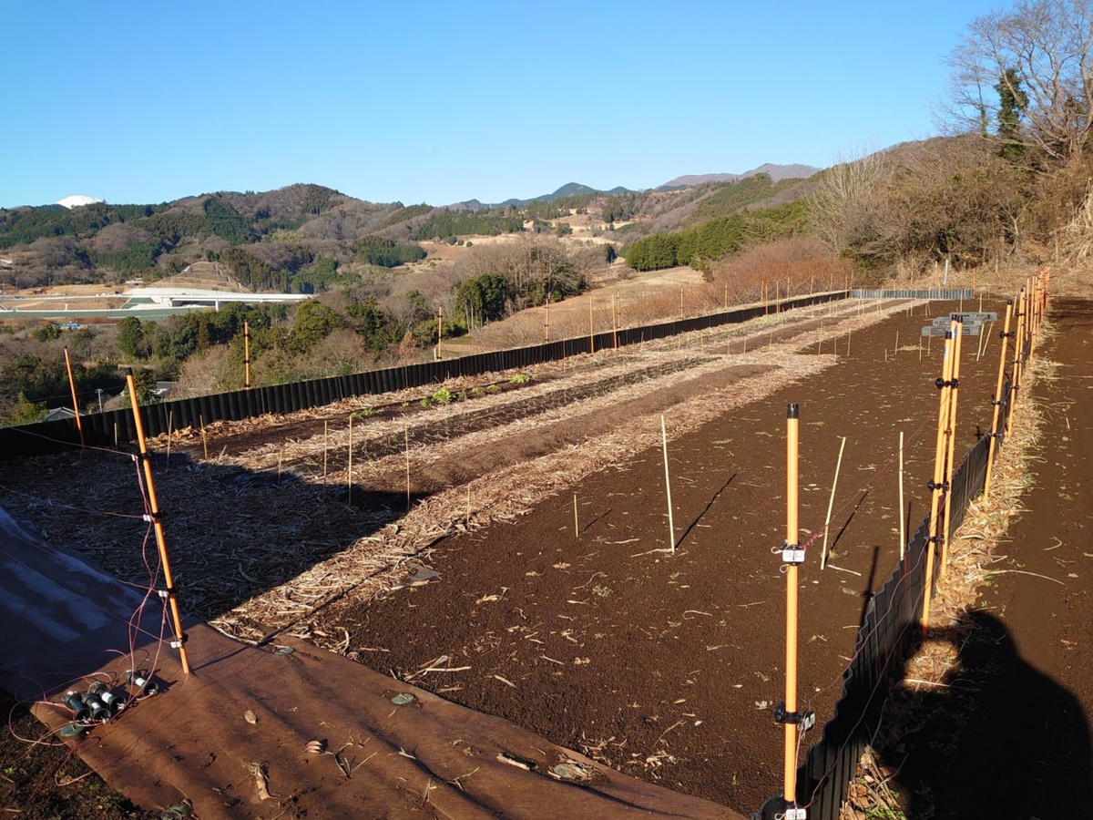 f:id:RitsGreen:20220123121355p:plain