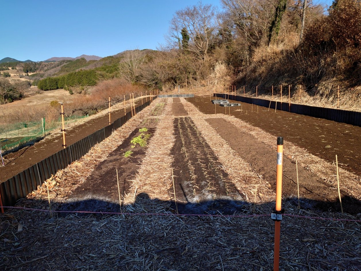 f:id:RitsGreen:20220123121557p:plain