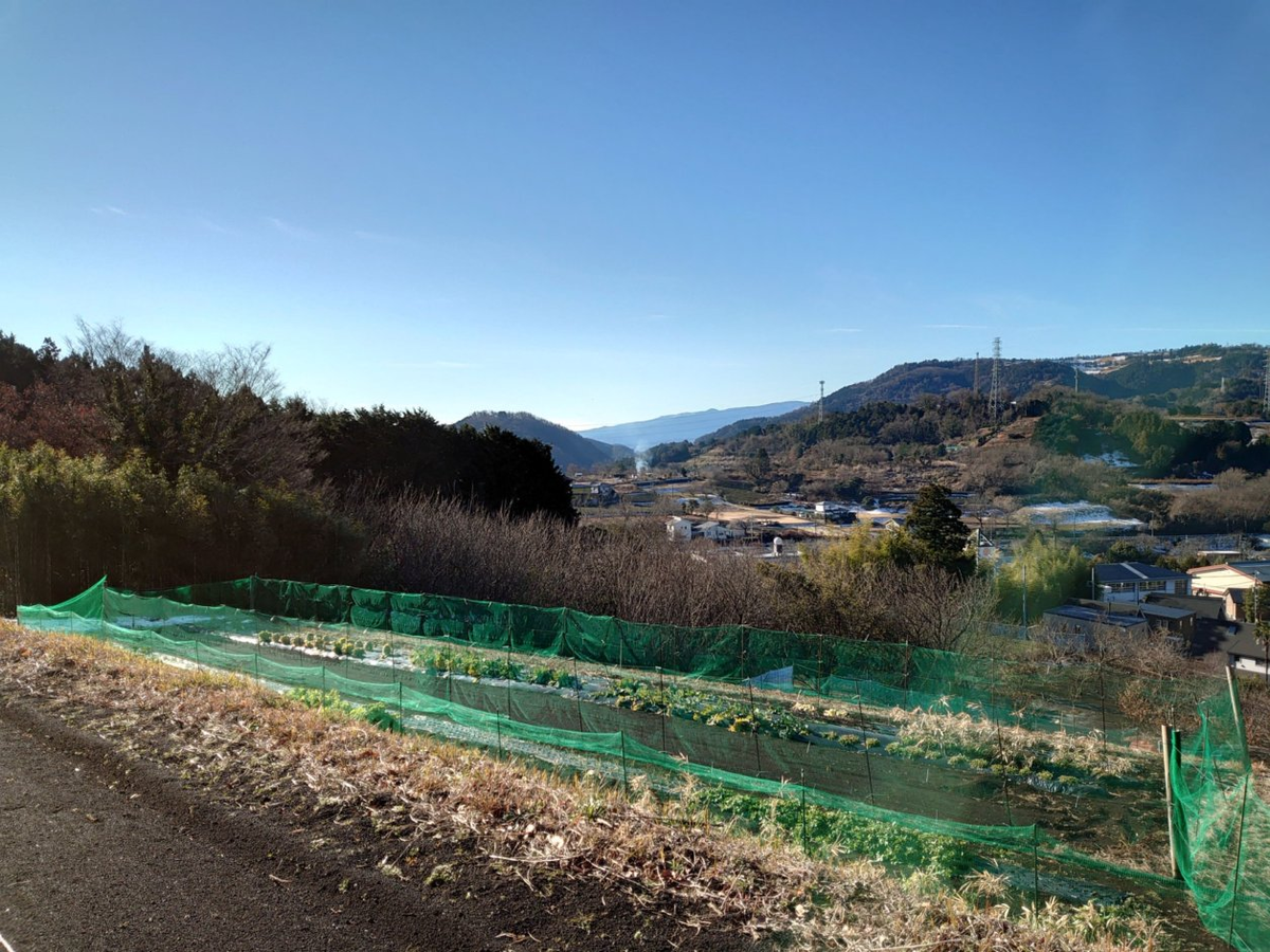 f:id:RitsGreen:20220123122032p:plain