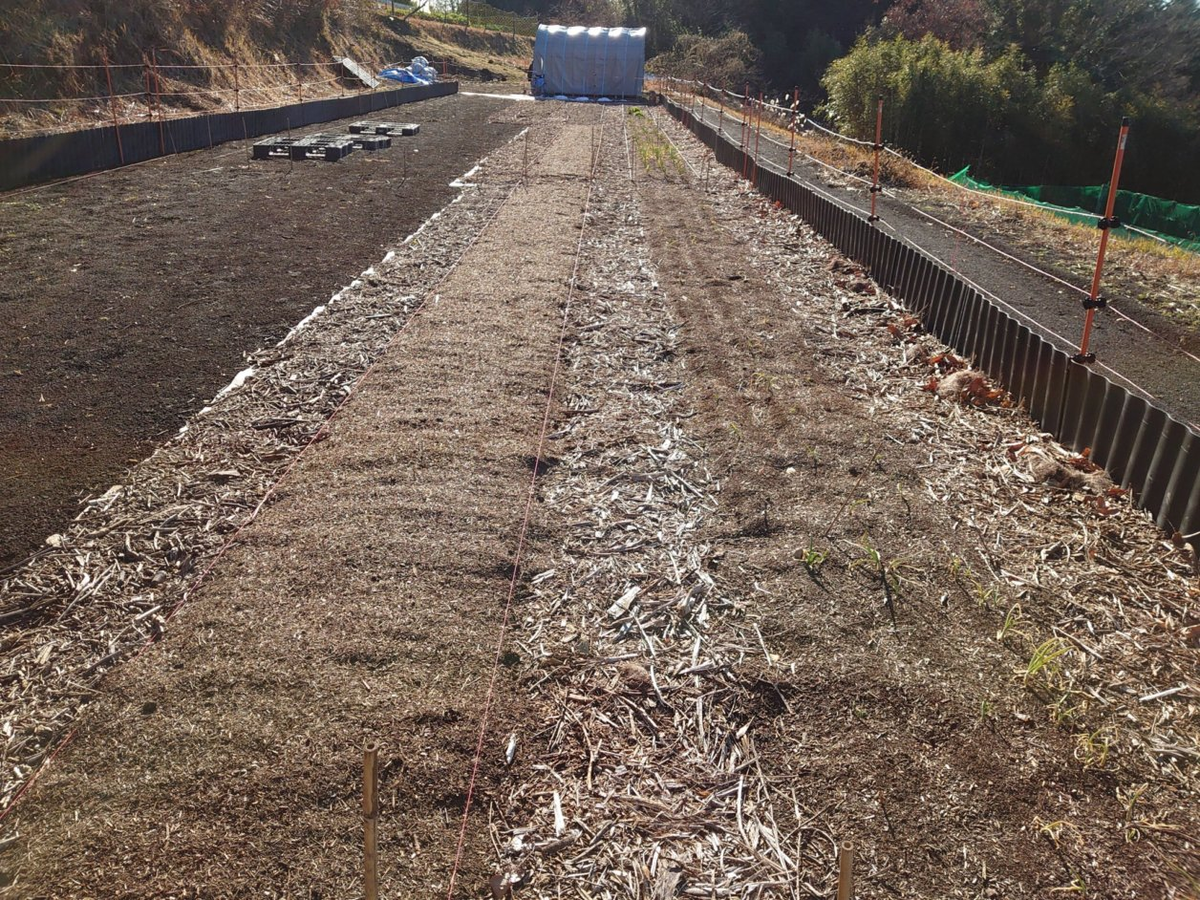 f:id:RitsGreen:20220123125004p:plain