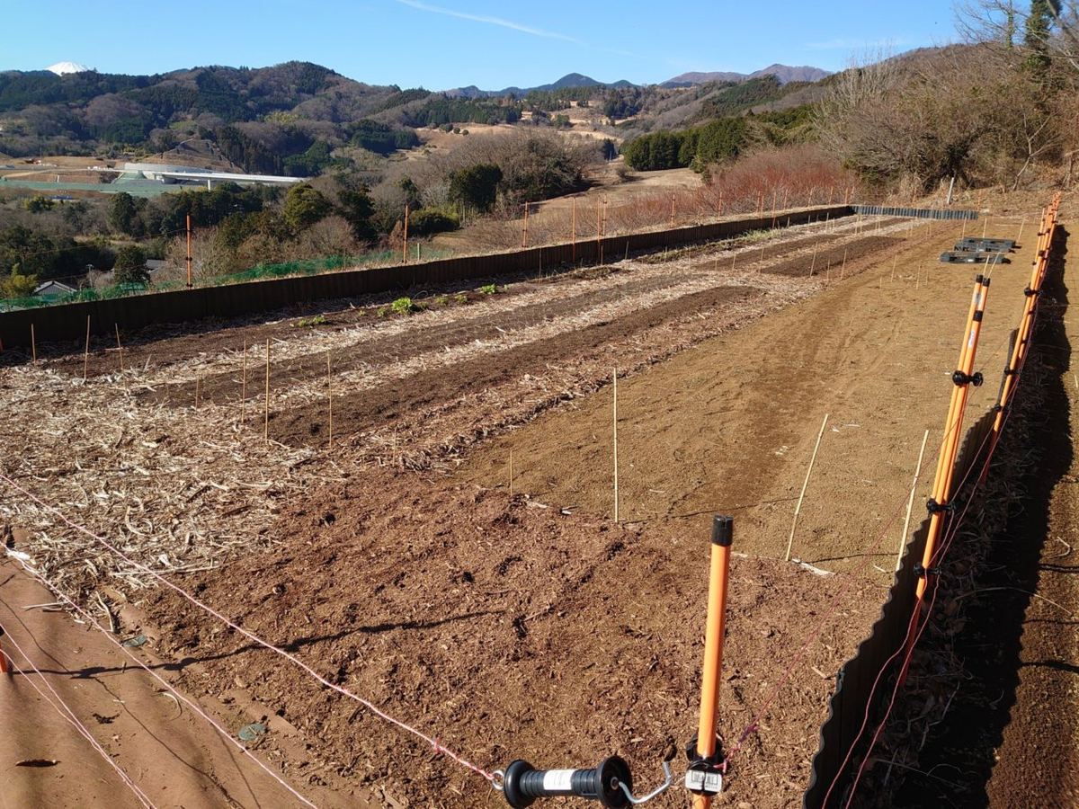 f:id:RitsGreen:20220123125432p:plain