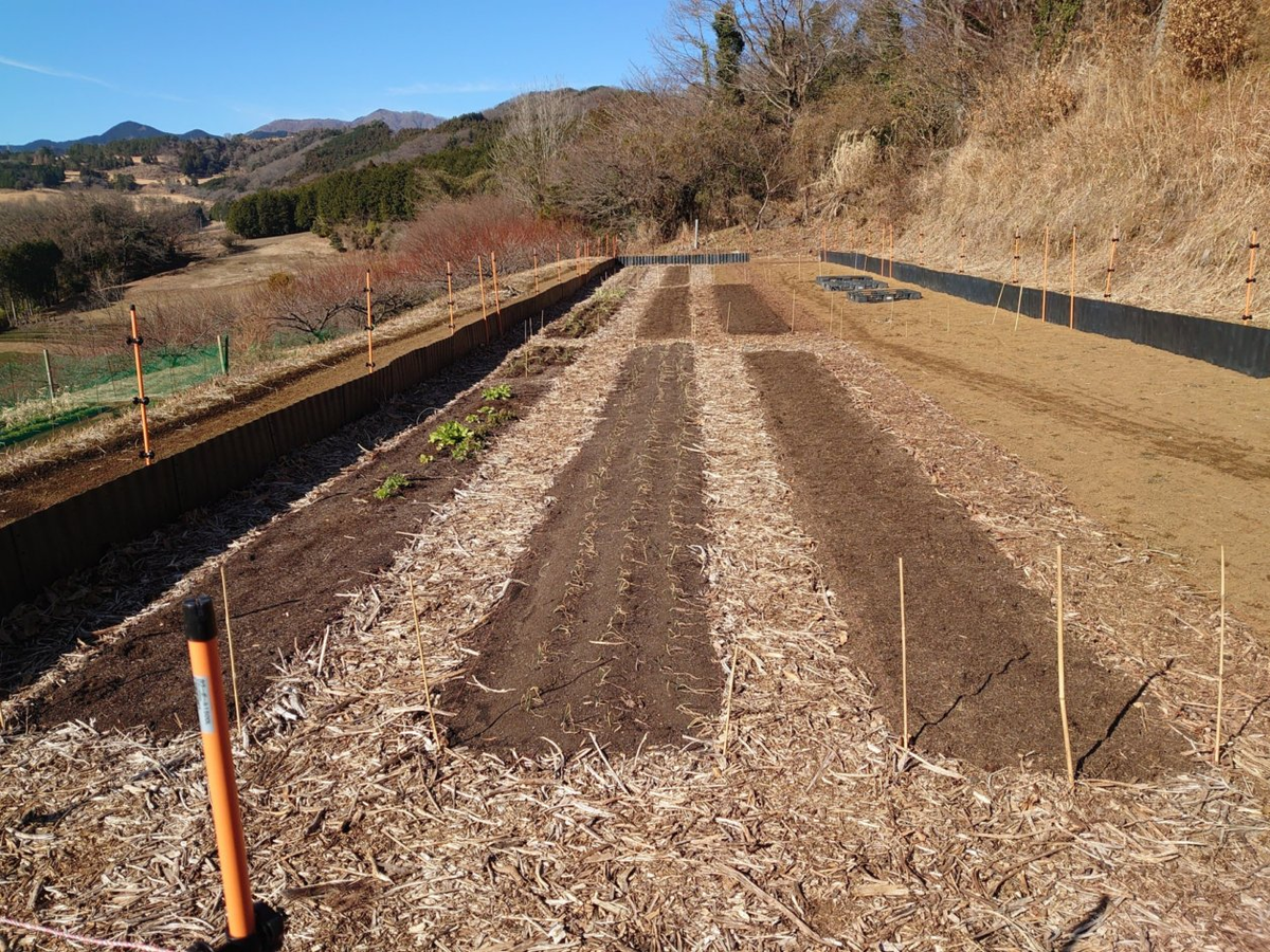 f:id:RitsGreen:20220123125857p:plain