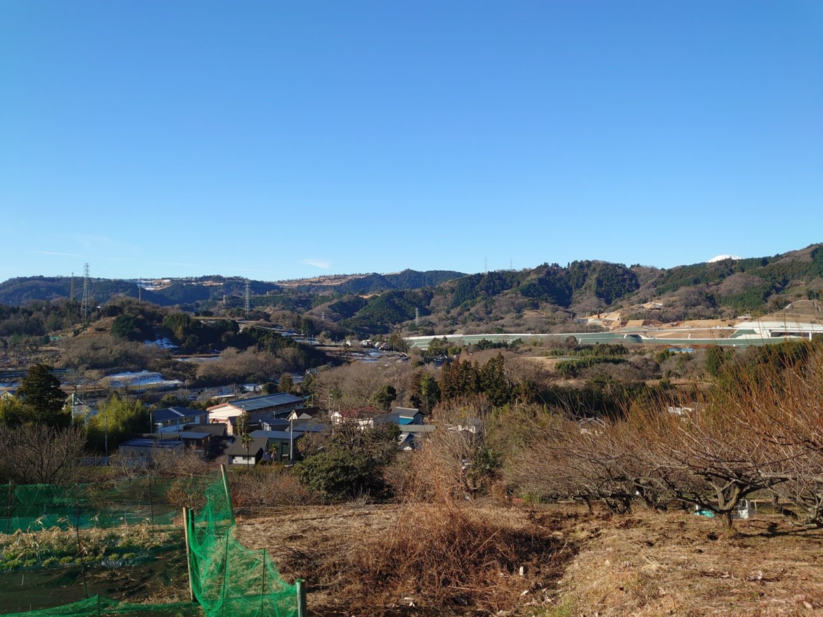 f:id:RitsGreen:20220123130622p:plain