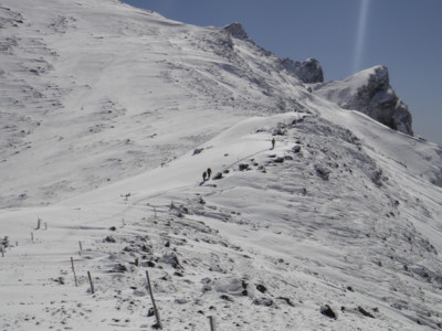 f:id:Riwao:20110305123515j:image f:id:Riwao:20110305123515j:image