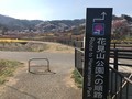 滝桜、花見山