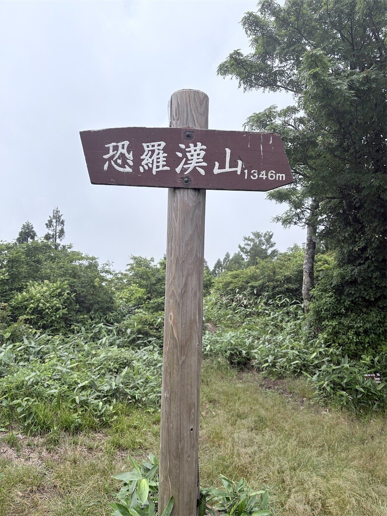 f:id:Riwao:20260630030656j:image