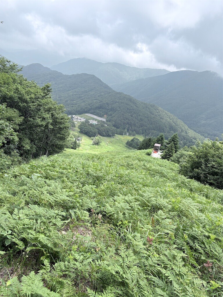 f:id:Riwao:20260630030717j:image