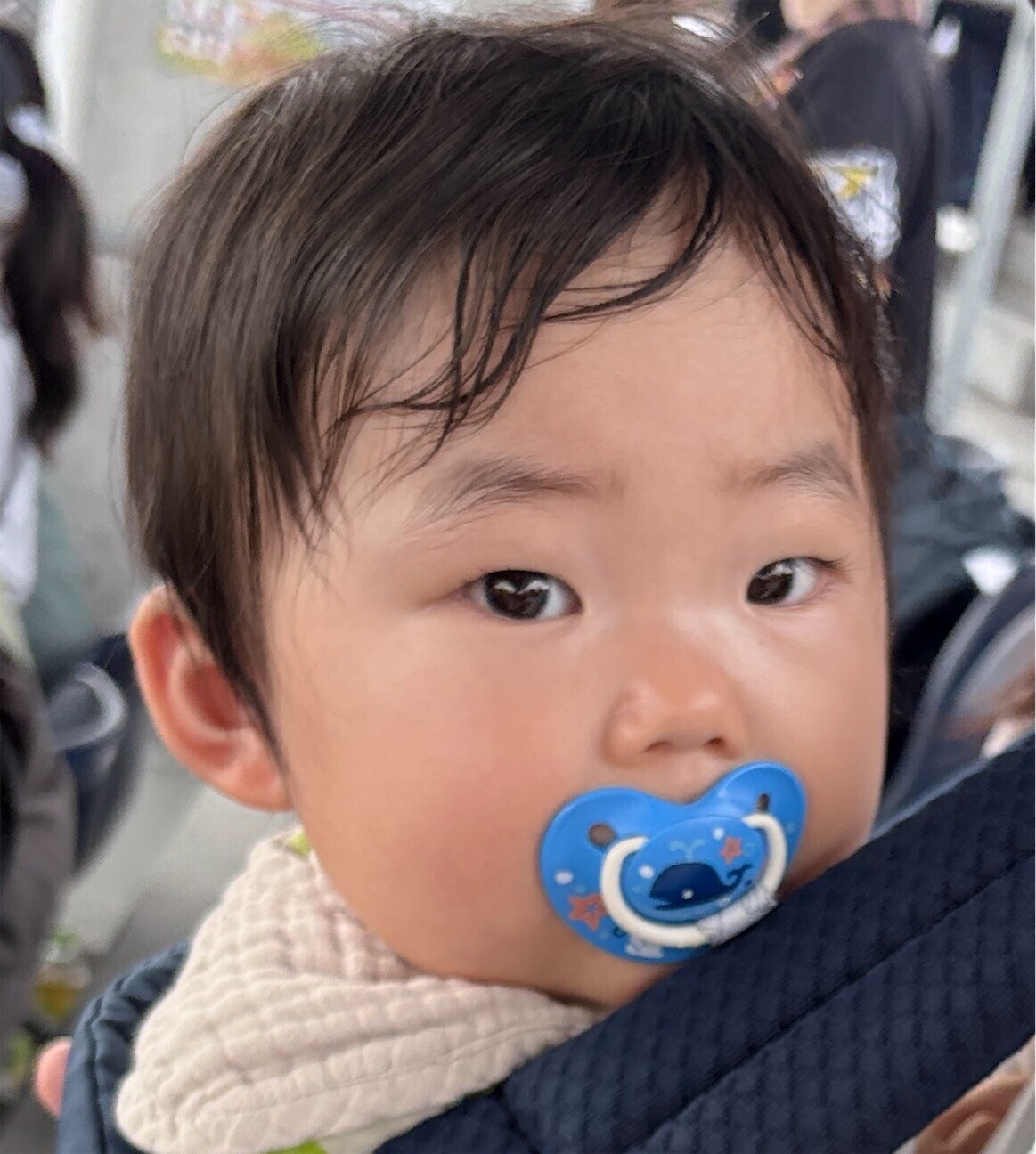 f:id:Riwao:20261005052406j:image