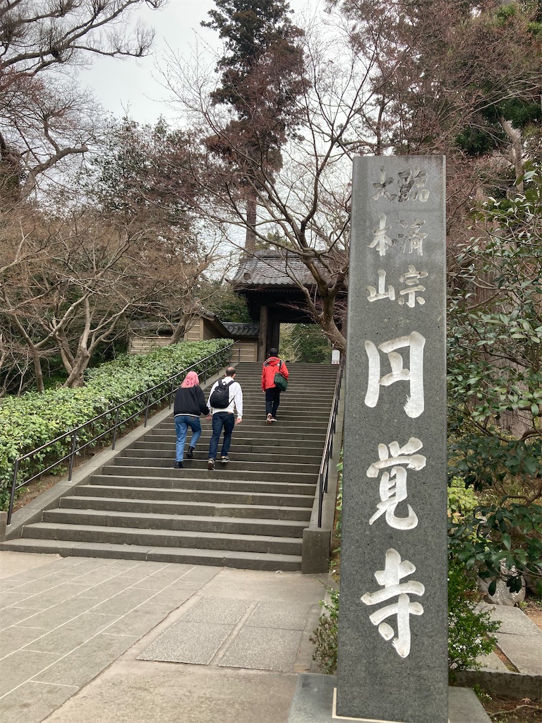 f:id:RizzleD:20230330155741j:image