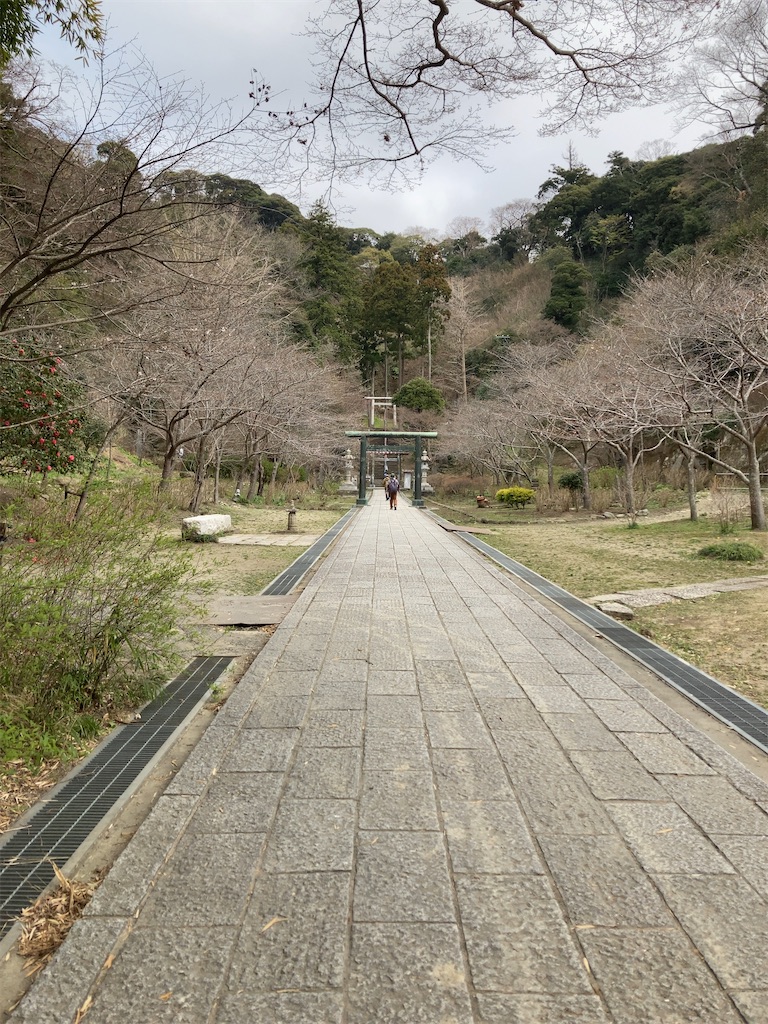 f:id:RizzleD:20230330160219j:image