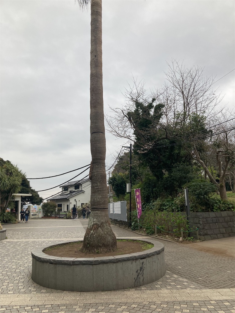 f:id:RizzleD:20230330160707j:image