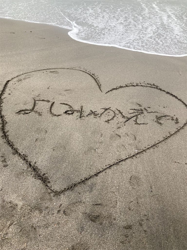 f:id:RizzleD:20230330160756j:image