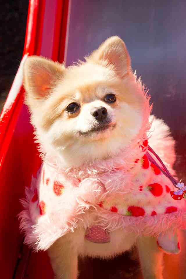 f:id:RlE:20160811171356j:plain