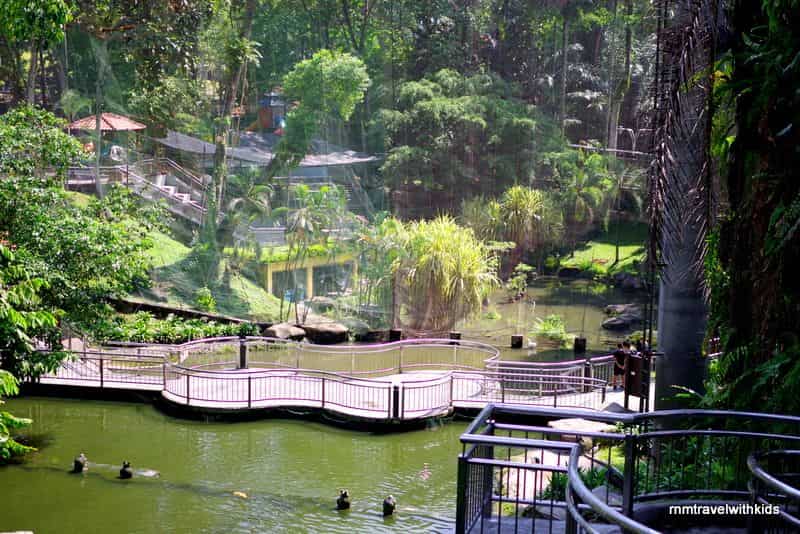 f:id:RnMtravelwithkids:20191220112450j:plain f:id:RnMtravelwithkids:20191220112450j:plain