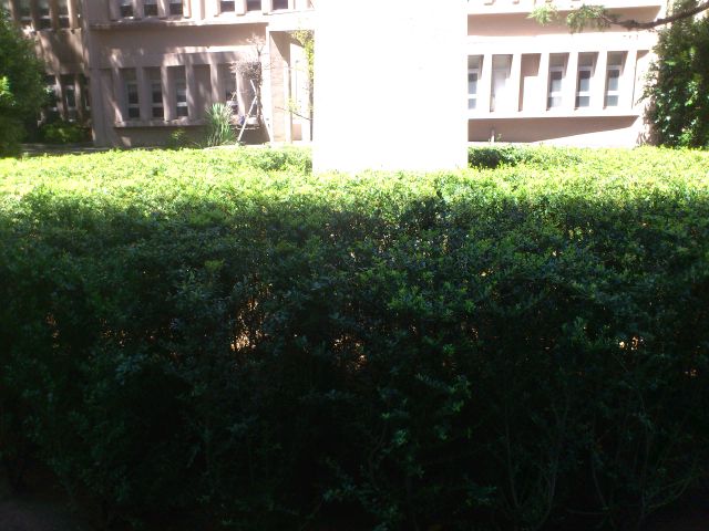 f:id:RnTRSkmT:20180820142356j:plain