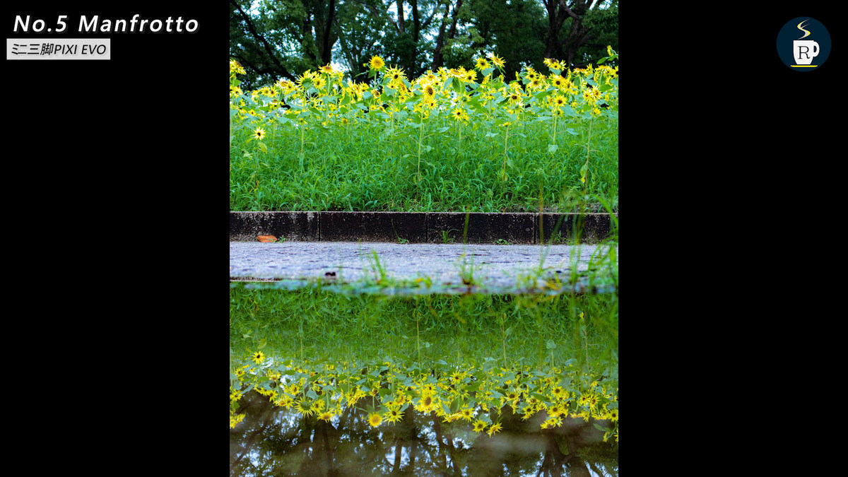 f:id:Rnew:20200618155930j:plain f:id:Rnew:20200618155930j:plain