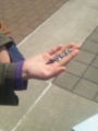 20130509081513