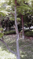 20130509154612