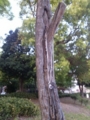 20130509170517