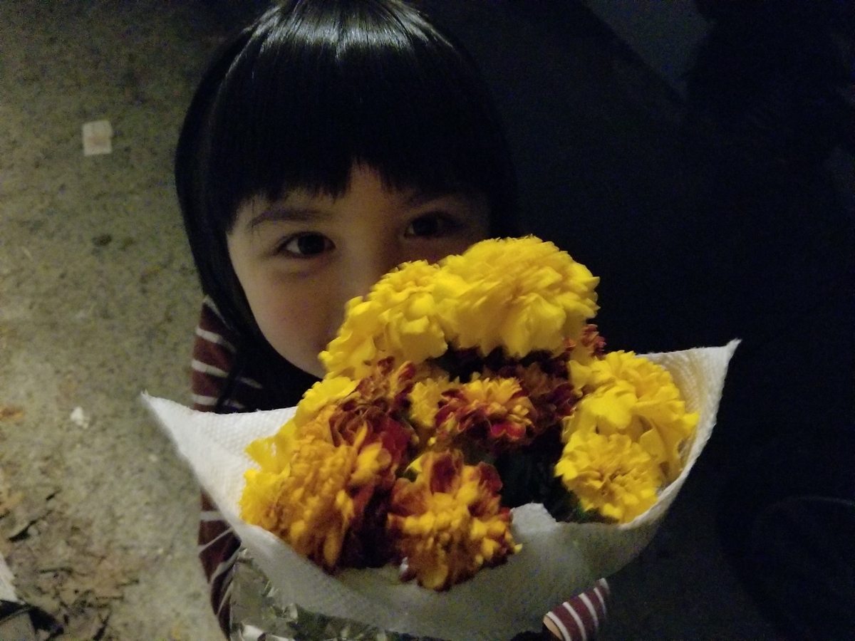 f:id:RockinWasabi:20211116214557j:plain