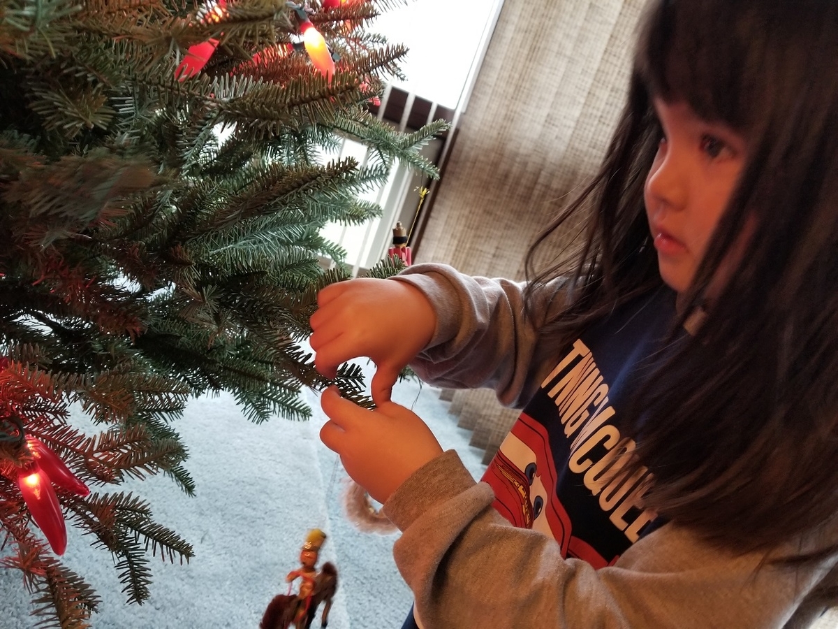 トリミングしたツリーでもうすぐクリスマス たちまちWASABI