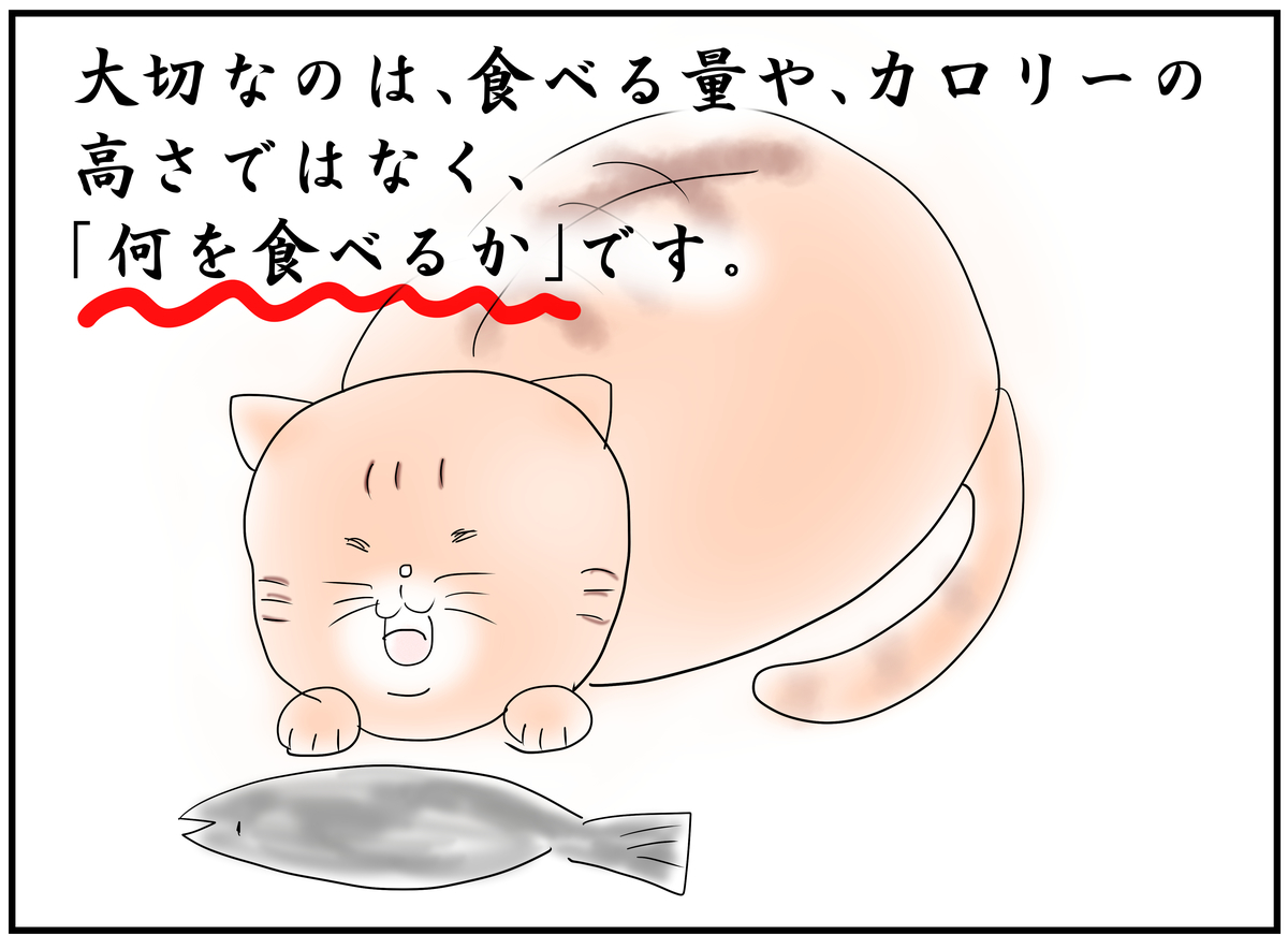 f:id:Rokkorii:20190924214610j:plain