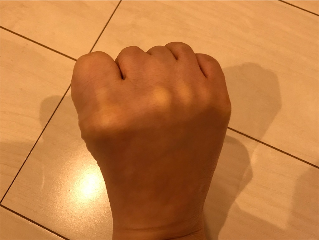 f:id:Rokkorii:20191227200124j:plain