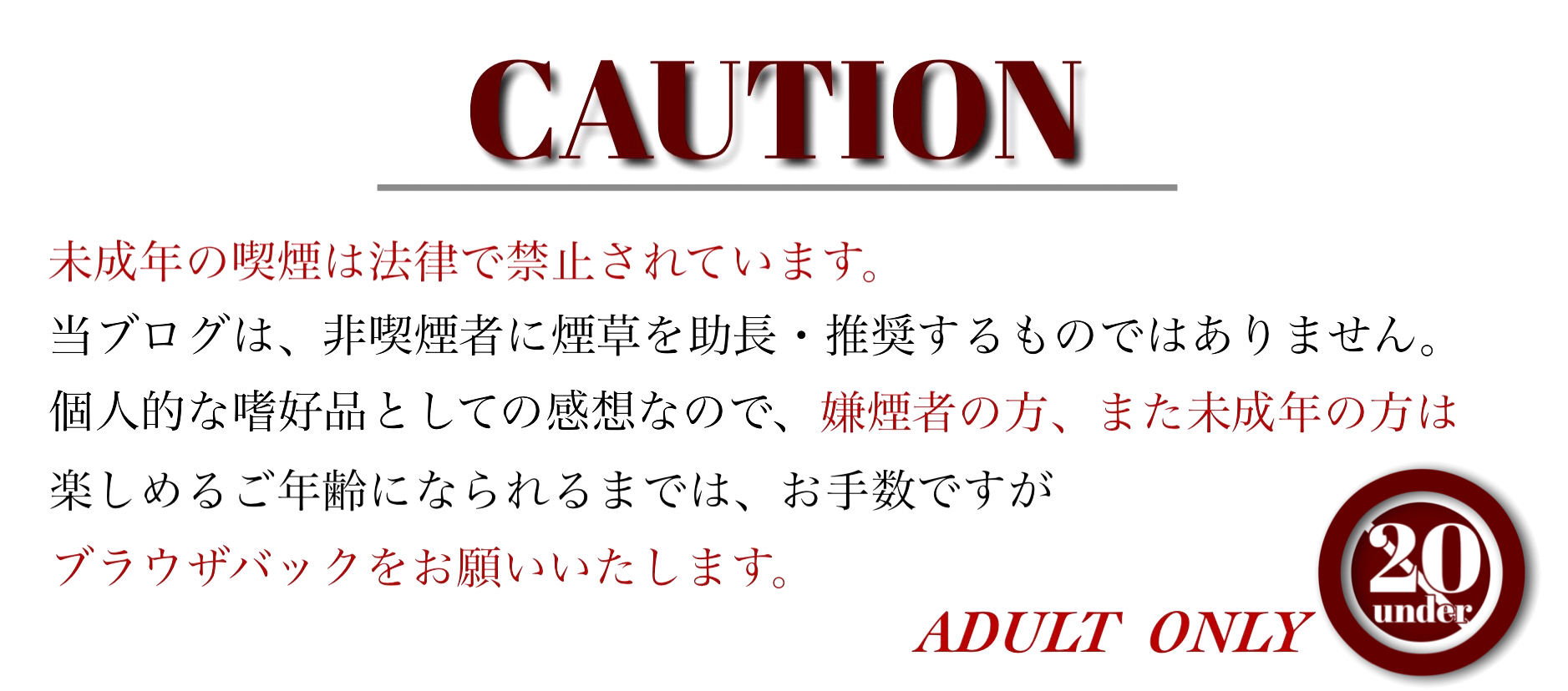 f:id:Romeesmoke:20210301093301j:plain